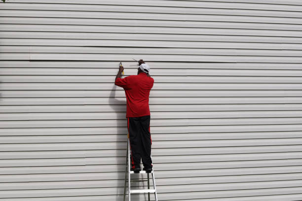 Best Custom Siding Design  in Doa Ana, NM