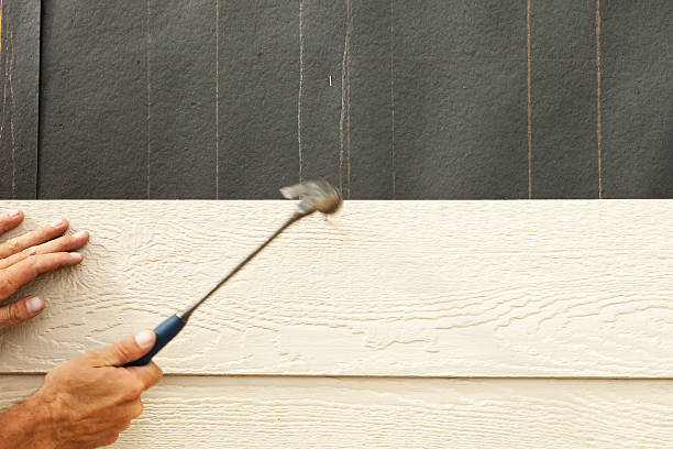 Best Brick Veneer Siding  in Doa Ana, NM
